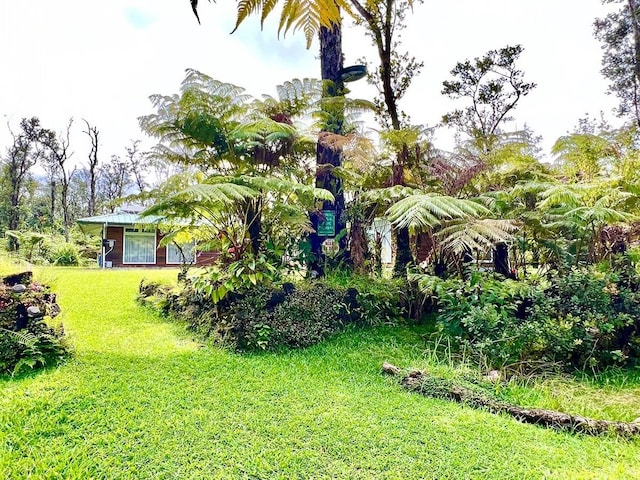 11-2920 S Apele Rd, Mountain View, HI 96771 - view of grassy yard