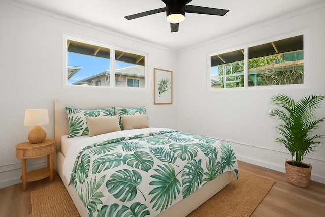 4484 Panako Rd, Waimea, HI 96796 - photo 12