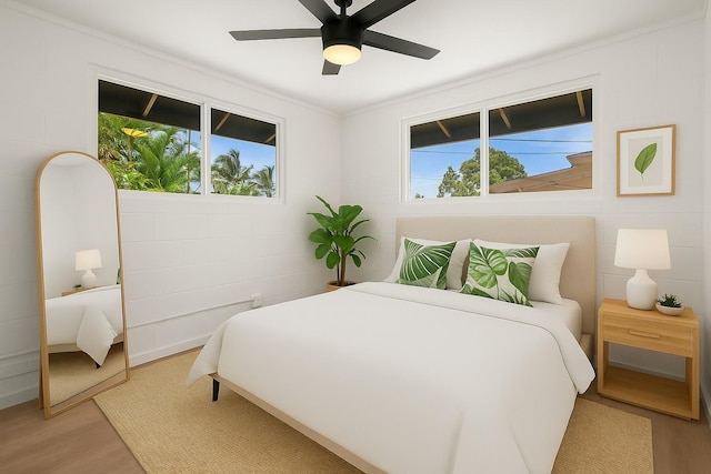 4484 Panako Rd, Waimea, HI 96796 - photo 23