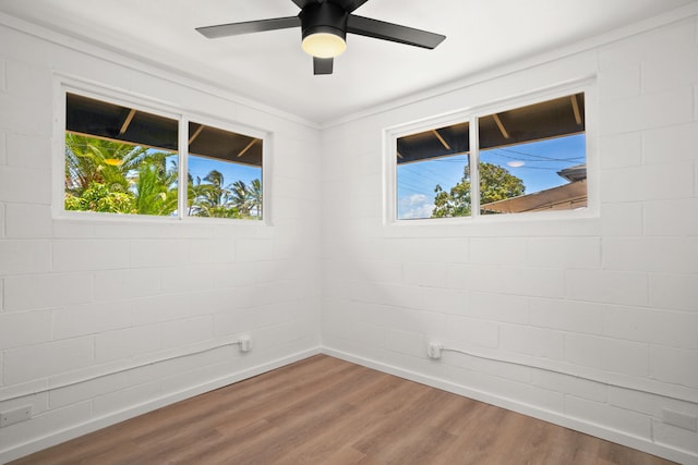 4484 Panako Rd, Waimea, HI 96796 - photo 24
