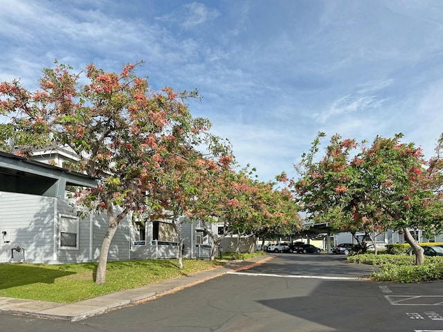 68-3831 Lua Kula St Unit H202, Waikoloa, HI 96738 - view of asphalt road