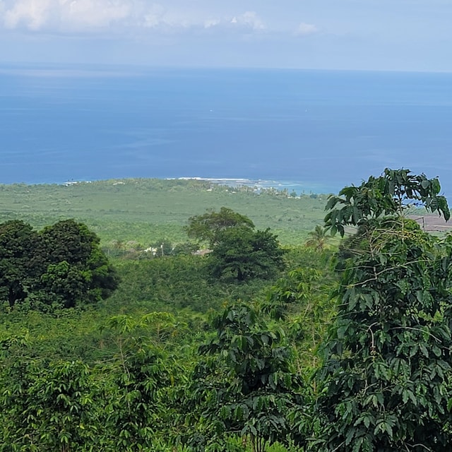 Rock Bottom Rd, Captain Cook, HI 96704
