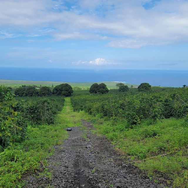 Rock Bottom Rd, Captain Cook, HI 96704