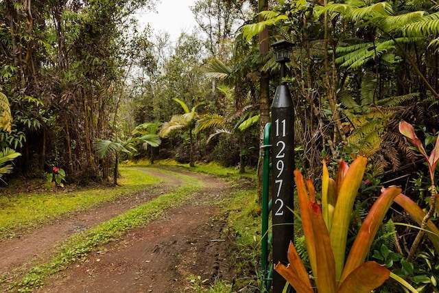 11-2972 Alii Papa St, Volcano, HI 96785 - view of dirt / gravel road