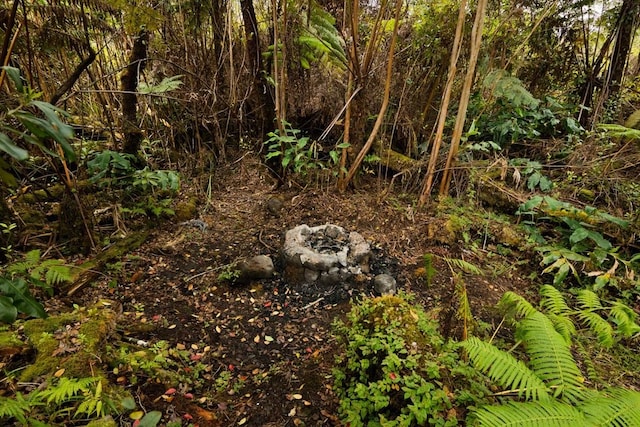 11-2972 Alii Papa St, Volcano, HI 96785 - view of local wilderness