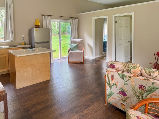 13-1020 Kahukai St, Pahoa, HI 96778 - kitchen with freestanding refrigerator, light countertops, dark wood-style floors, open floor plan, and healthy amount of natural light
