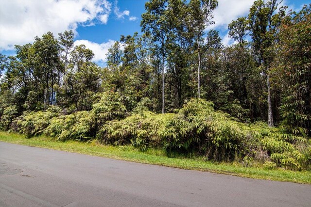 Lehua St, Mountain View, HI 96771 - photo 2