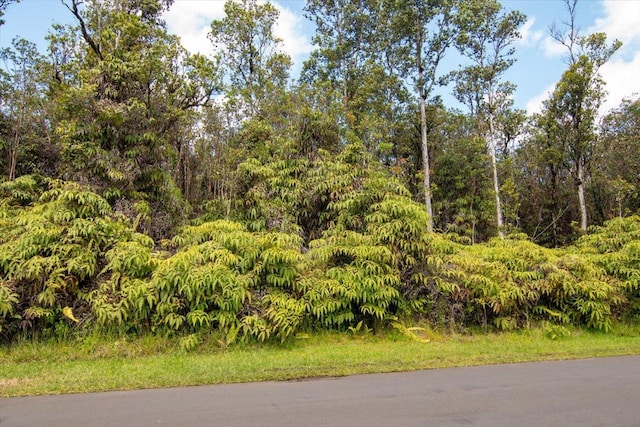 Lehua St, Mountain View, HI 96771 - photo 3