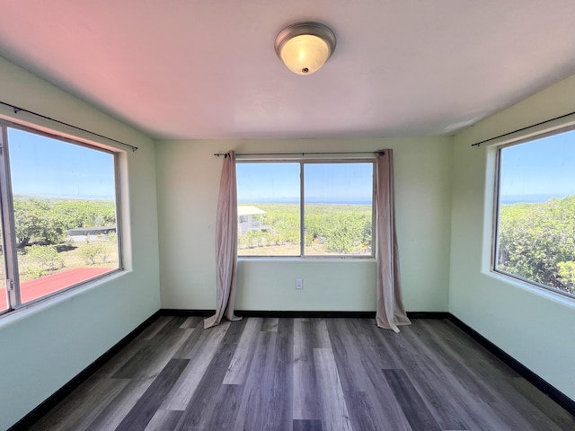 94-6347 Makai St, Naalehu, HI 96772 - unfurnished room featuring plenty of natural light and dark wood-style flooring
