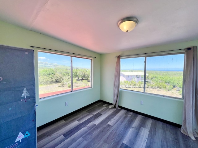 94-6347 Makai St, Naalehu, HI 96772 - empty room featuring healthy amount of natural light and wood finished floors
