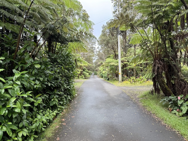 11-3885 6th St, Volcano, HI 96785 - photo 25