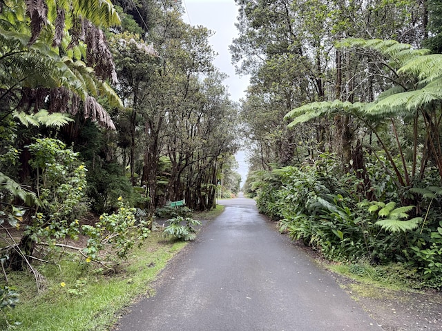 11-3885 6th St, Volcano, HI 96785 - photo 24
