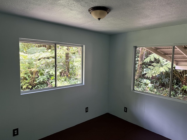 11-3885 6th St, Volcano, HI 96785 - photo 12