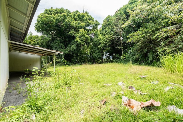 95 Todd Ave, Hilo, HI 96720 - photo 8
