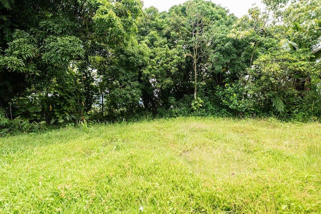 95 Todd Ave, Hilo, HI 96720 - photo 27