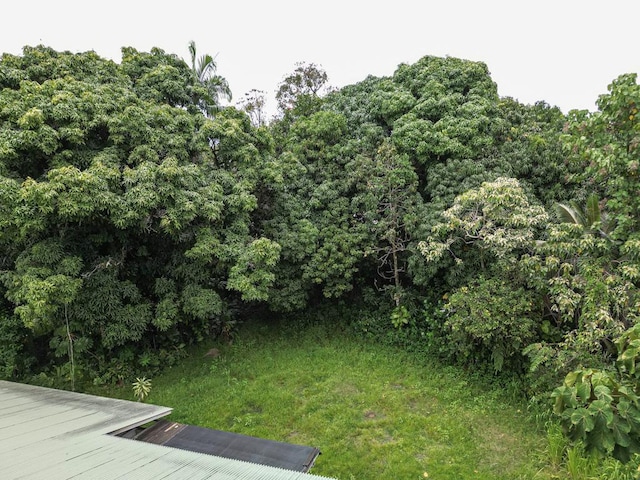 95 Todd Ave, Hilo, HI 96720 - photo 29