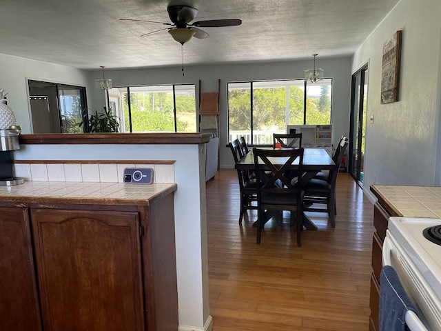 94-5868 Kanaloa Pl, Naalehu, HI 96772 - dining space featuring a chandelier, light wood finished floors, a textured ceiling, healthy amount of natural light, and a ceiling fan