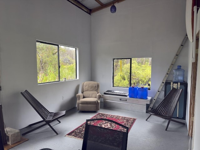 11-1834 Kolea St, Mountain View, HI 96771 - sitting room featuring high vaulted ceiling