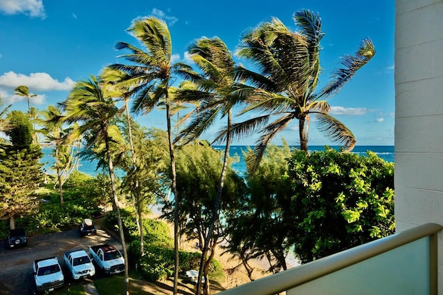 53-549 Kamehameha Hwy Unit 506, Hauula, HI 96717 - photo 14