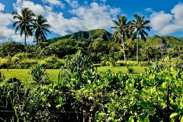 53-549 Kamehameha Hwy Unit 506, Hauula, HI 96717 - photo 17