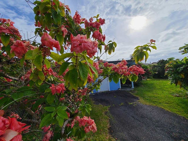 130 Popolo St, Hilo, HI 96720 - view of front facade with a front lawn