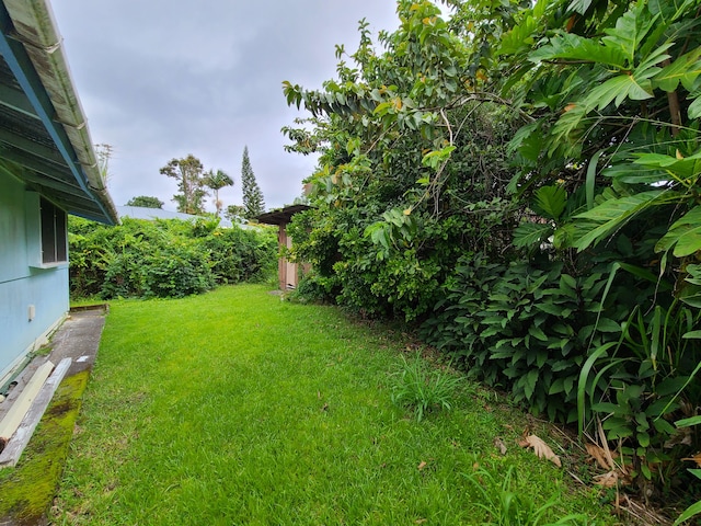 130 Popolo St, Hilo, HI 96720 - view of grassy yard