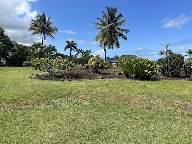 75-107 Kamilo Pl, Kailua-Kona, HI 96740 - view of green lawn