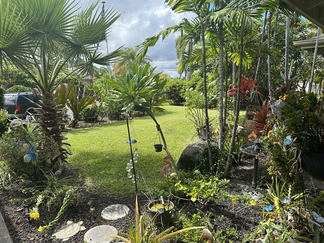 75-107 Kamilo Pl, Kailua-Kona, HI 96740 - view of green lawn