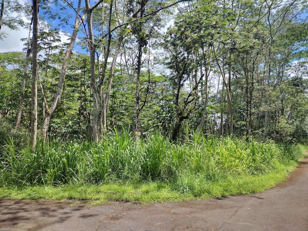 14-3302 Donnybrook Ln, Pahoa, HI 96778