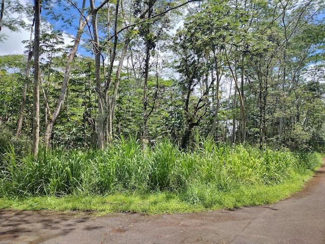 14-3302 Donnybrook Ln, Pahoa, HI 96778