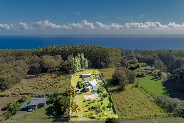 41-464 Keehia Pl, Paauilo, HI 96776 - photo 20