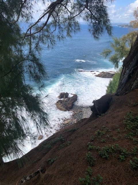 Loa Rd, Lot, Pepeekeo, HI 96783
