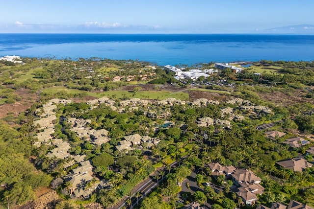 68-1125 N Kaniku Dr Unit 2006, Kamuela, HI 96743 - photo 29