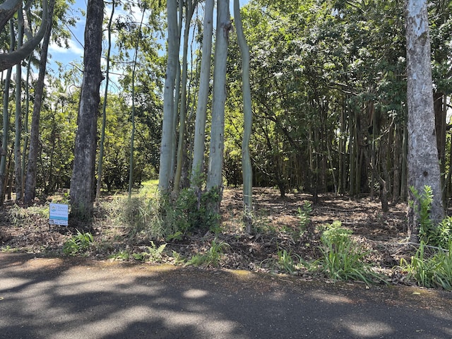 27-536 Alakahi Pl Lot B, Pepeekeo, HI 96781