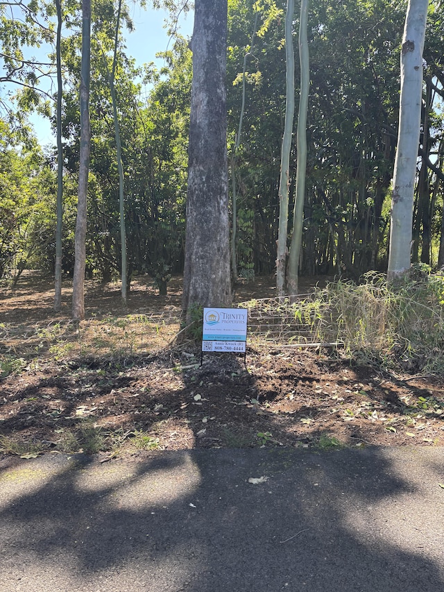 27-536 Alakahi Pl Lot B, Pepeekeo, HI 96781