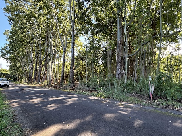 27-536 Alakahi Pl Lot B, Pepeekeo, HI 96781