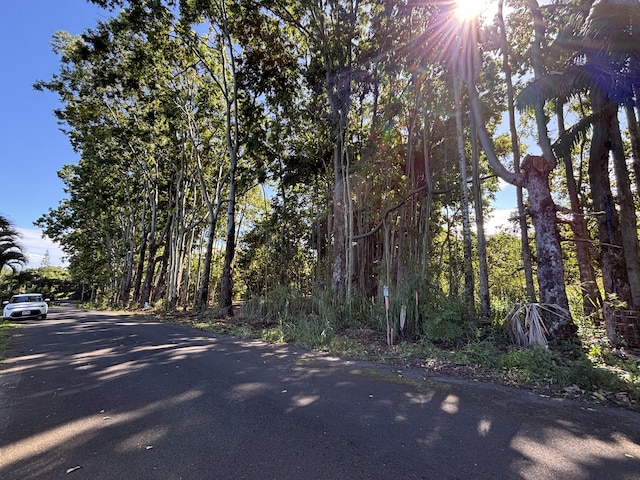 27-536 Alakahi Pl Lot B, Pepeekeo, HI 96781