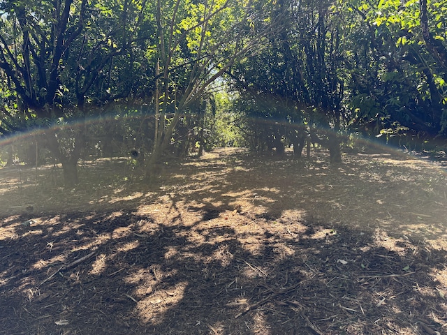 27-536 Alakahi Pl Lot B, Pepeekeo, HI 96781