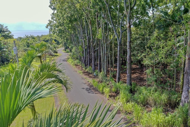 27-536 Alakahi Pl Lot B, Pepeekeo, HI 96781