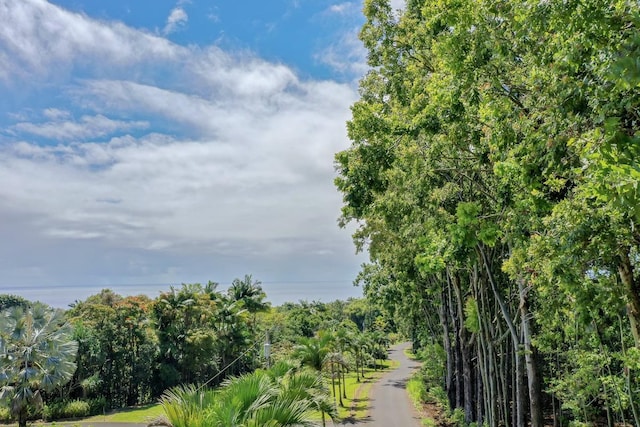27-536 Alakahi Pl Lot B, Pepeekeo, HI 96781