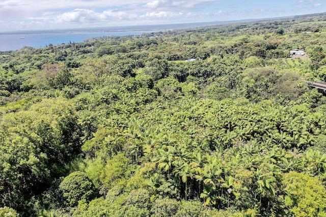 27-536 Alakahi Pl Lot B, Pepeekeo, HI 96781