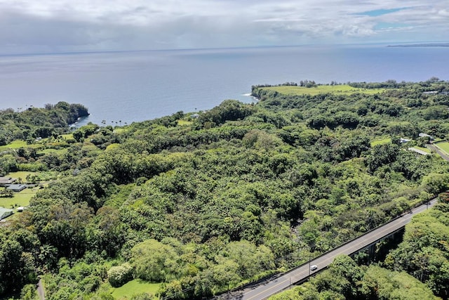 27-536 Alakahi Pl Lot B, Pepeekeo, HI 96781