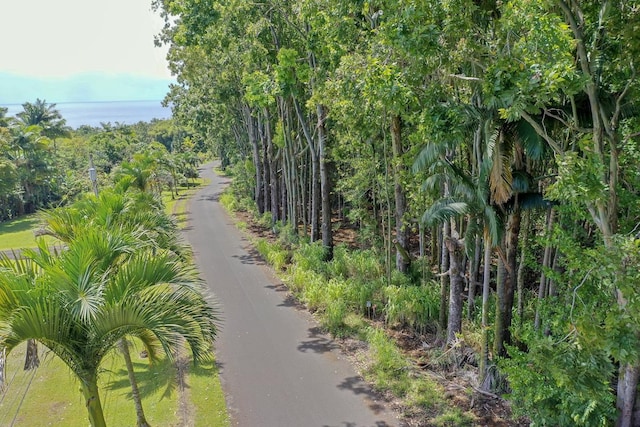 27-536 Alakahi Pl Lot B, Pepeekeo, HI 96781