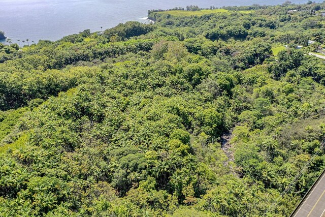 27-536 Alakahi Pl Lot B, Pepeekeo, HI 96781