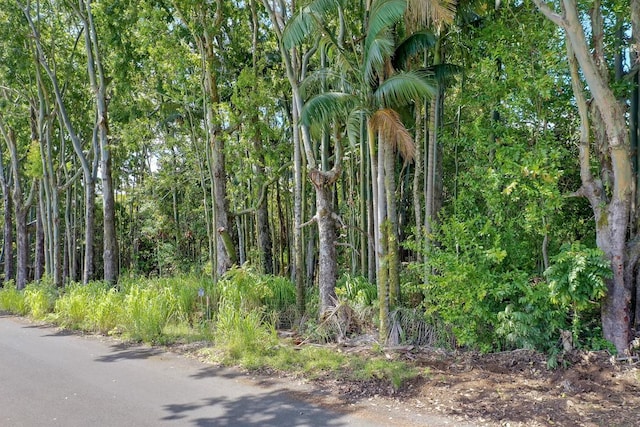 27-536 Alakahi Pl Lot B, Pepeekeo, HI 96781