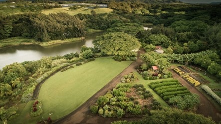 Kaulu St, Koloa, HI 96756