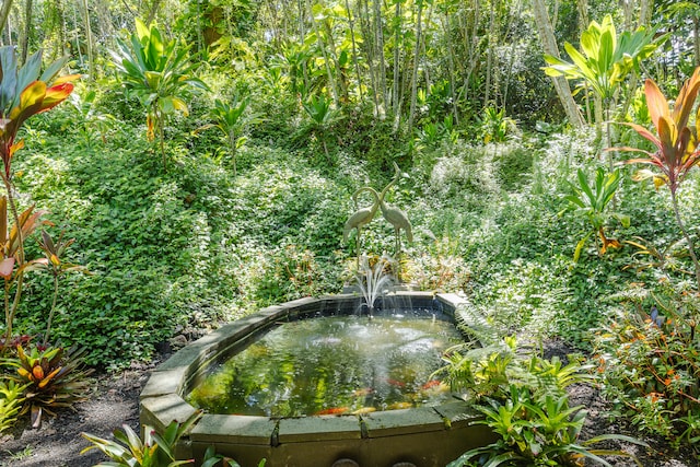 15-2727 Oio St, Pahoa, HI 96778 - photo 13