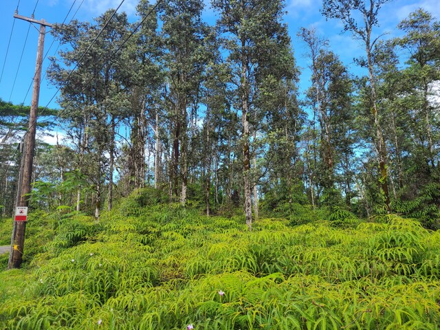 Kehau Rd, Pahoa, HI 96778 - photo 3