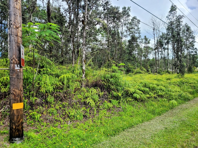 Kehau Rd, Pahoa, HI 96778 - photo 4