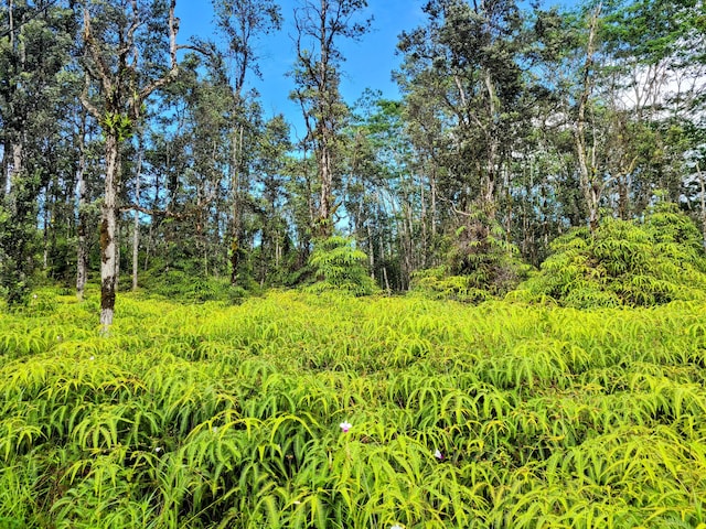Kehau Rd, Pahoa, HI 96778 - photo 7